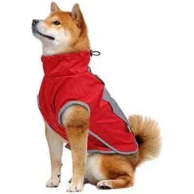 Regal Paws Waterproof Dog Jacket for Winter Walks