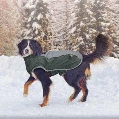 Regal Paws Waterproof Dog Jacket for Winter Walks