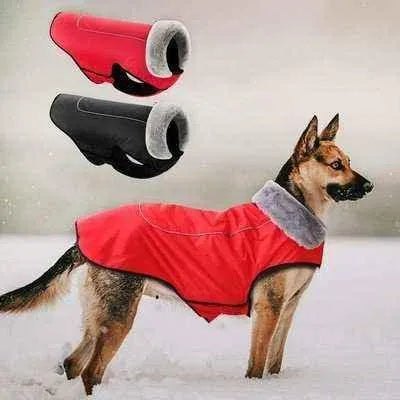 Royal Paws Winter Elegance Big Dog Jacket